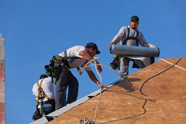 Best Flat Roof Repair Services  in Hamlet, IN