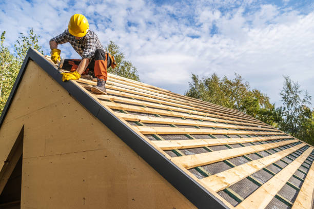Best Roof Gutter Cleaning  in Hamlet, IN