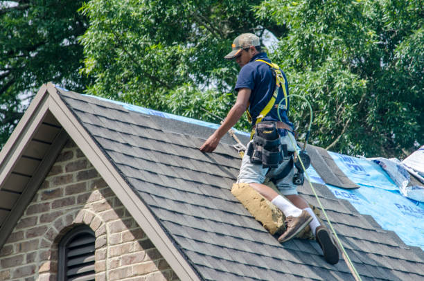 Best Affordable Roof Replacement  in Hamlet, IN